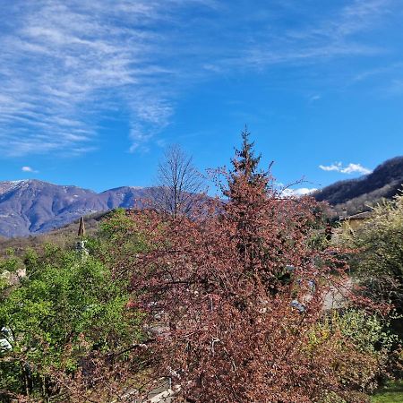 Hotel Zelindo Losone Zewnętrze zdjęcie