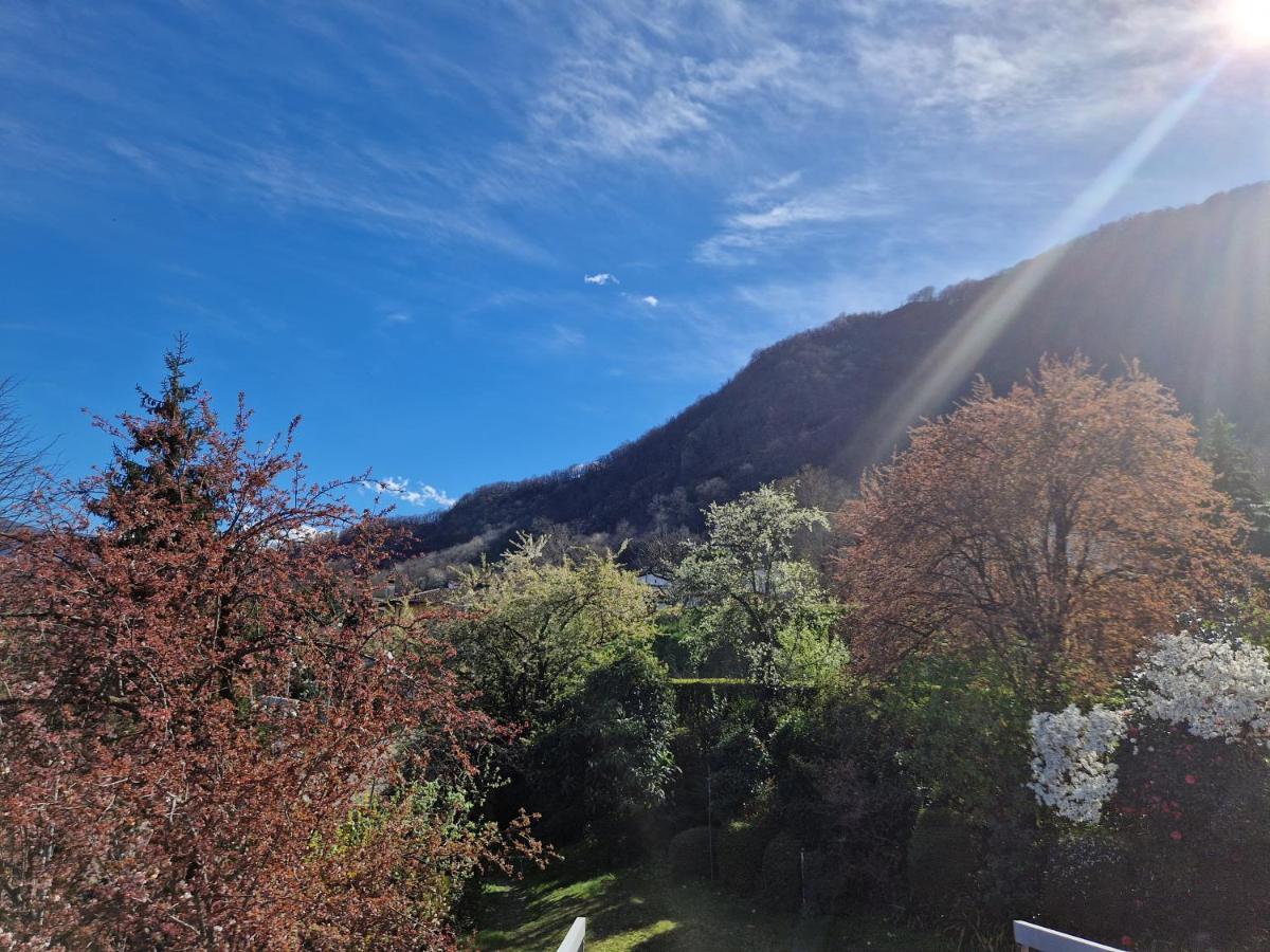 Hotel Zelindo Losone Zewnętrze zdjęcie