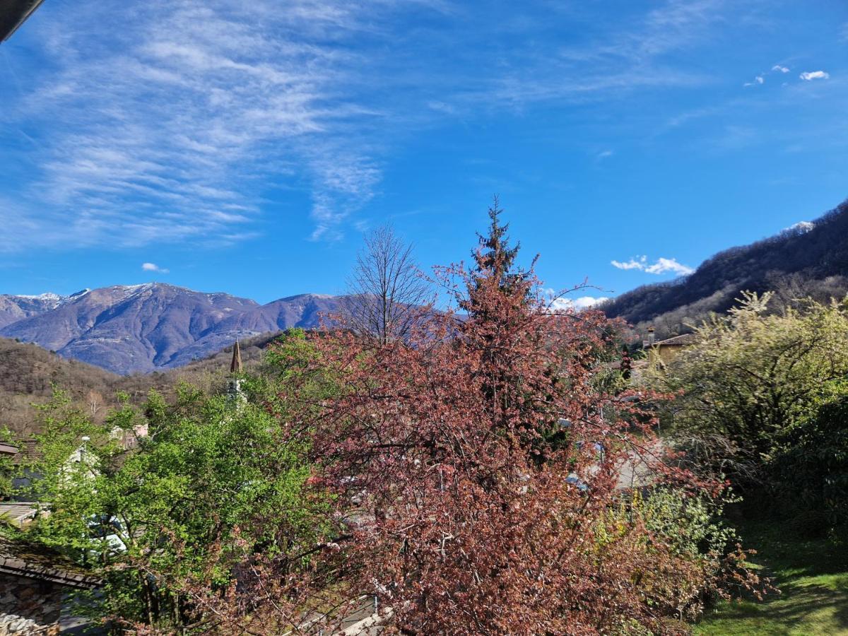 Hotel Zelindo Losone Zewnętrze zdjęcie